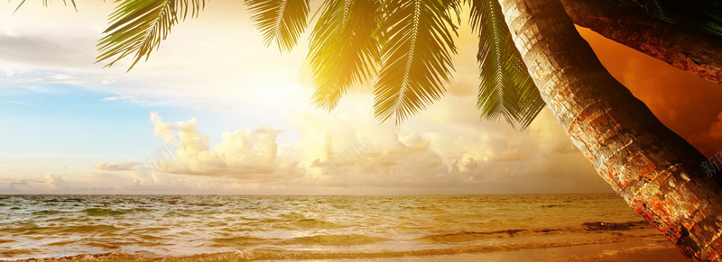 海滩背景图jpg_新图网 https://ixintu.com 夏日 夕阳 摄影 椰子树 沙滩 海报banner 海滩 风景