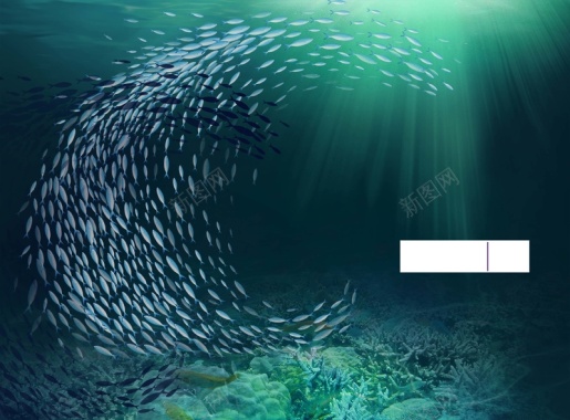 深海鱼类鱼群珊瑚海底蓝色光线背景