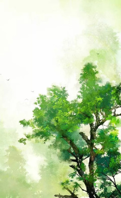 大自然的气息绿色树木的海报高清图片