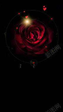 红色玫瑰花H5背景背景