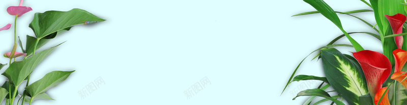 淘宝天猫banner背景背景
