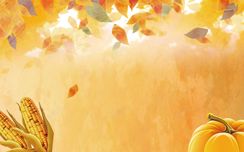 金黄色的丰收的海报背景psd设计背景_新图网 https://ixintu.com 南瓜 幸福 橙色 玉米 粮食 花瓣开心 金黄色