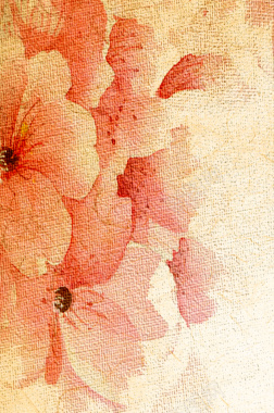 花卉橙色手绘纹理海报背景背景