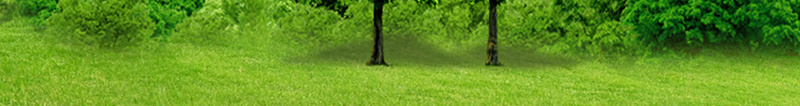 植树节海报背景psd设计背景_新图网 https://ixintu.com 动漫人物 动漫动画 宣传 植树 植树节 植树节图片图片下载 环保 背景 设计