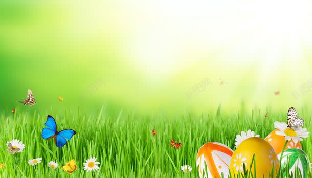 草地上的花朵jpg设计背景_新图网 https://ixintu.com 其它类别 图片素材 彩蛋 植物 背景花边 花朵 草地 草地上的花朵图片 草地上的花朵图片素材下载 蝴蝶