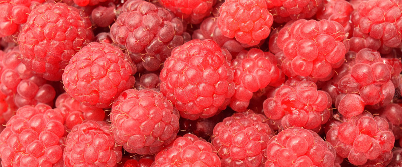 美食蔓越莓树莓覆盆子桑葚水果背景背景图片 素材0mvuweppv 新图网