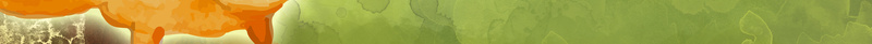 手绘世界森林日节日公益海报背景psd设计背景_新图网 https://ixintu.com 世界 公益 动物 大树 手绘 树叶 树林 森林日 海报 素材 背景 节日