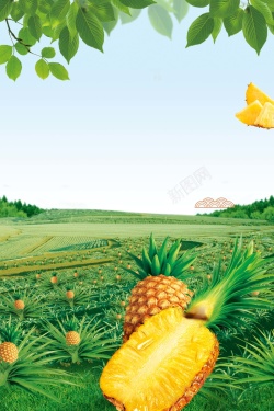 夏季小清新户外风景图绿色清新水果菠萝促销海报高清图片