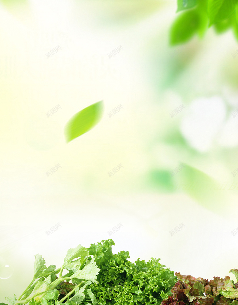 蔬菜瓜果树叶食品安全宣传psd设计背景_新图网 https://ixintu.com 包菜 安全 宣传 新鲜蔬菜 树叶 瓜果 胡萝卜 蔬菜 蔬菜购物 食品