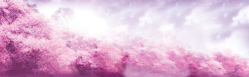 梦幻唯美粉色樱花背景背景
