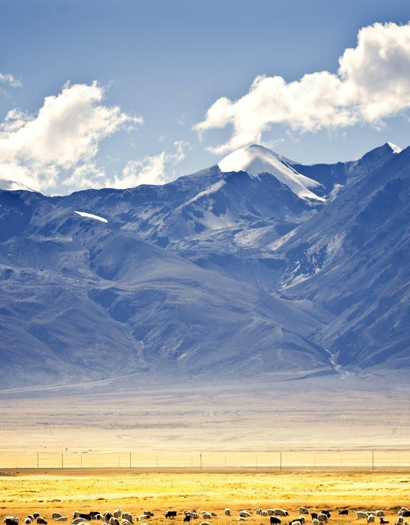 牛羊美景H5背景jpg_新图网 https://ixintu.com H5背景 唯美 大气 摄影 绚丽 美景 风景