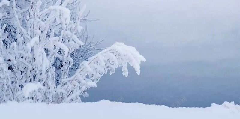 雾凇雪凇背景jpg_新图网 https://ixintu.com 大雪 摄影 背景 雪 雪凇 雾凇 风景