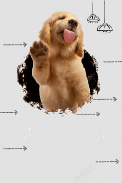 狗狗宣传海报宠物店海报背景高清图片