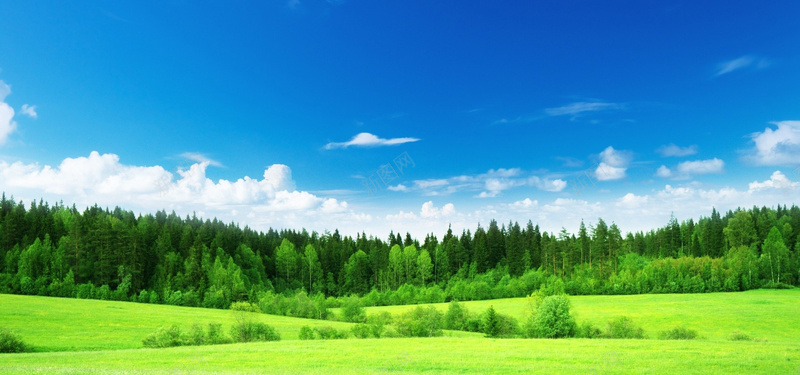 绿色清新背景图jpg_新图网 https://ixintu.com 天空 摄影 树木 树林 海报banner 清新 绿色 背景 草地 风景