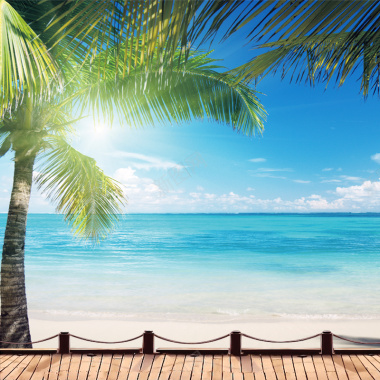 蓝天白云海滩椰子树背景摄影图片