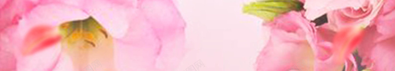 面膜化妆品宣传海报psd设计背景_新图网 https://ixintu.com 化妆品 女性 山茶花 海报 粉色 背景 花 花瓣 面膜 面膜海报