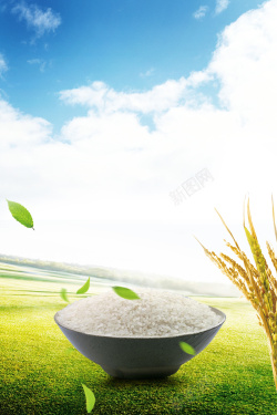 大米宣传广告天空草地稻谷大米广告海报背景高清图片