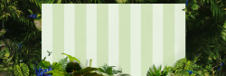 立式纸卡绿植淘宝背景高清图片