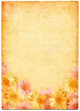 花卉背景纸张背景