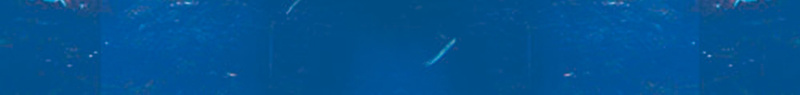 蓝色海底奇幻海报psd设计背景_新图网 https://ixintu.com 奇幻 摄影 水 海底 蓝色 风景 鱼
