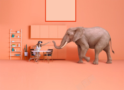 橙粉色橙粉色屋子里的人与大象高清图片