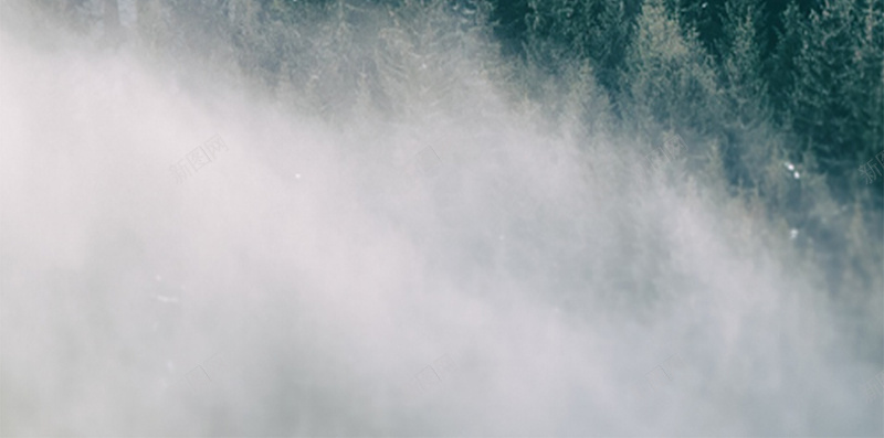 充满雾气的森林H5背景jpg_新图网 https://ixintu.com H5背景素材 大自然 摄影 树木 森林 雾气 风景