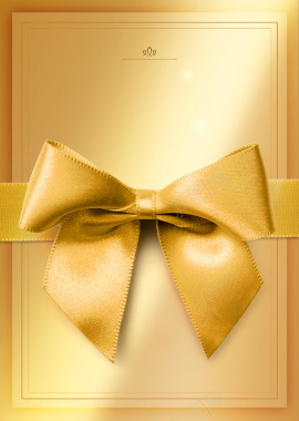 金色简约质感美容院会员蝴蝶节线框背景背景