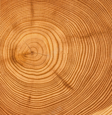 木头年轮纹理背景背景
