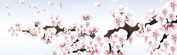 春季桃花背景背景