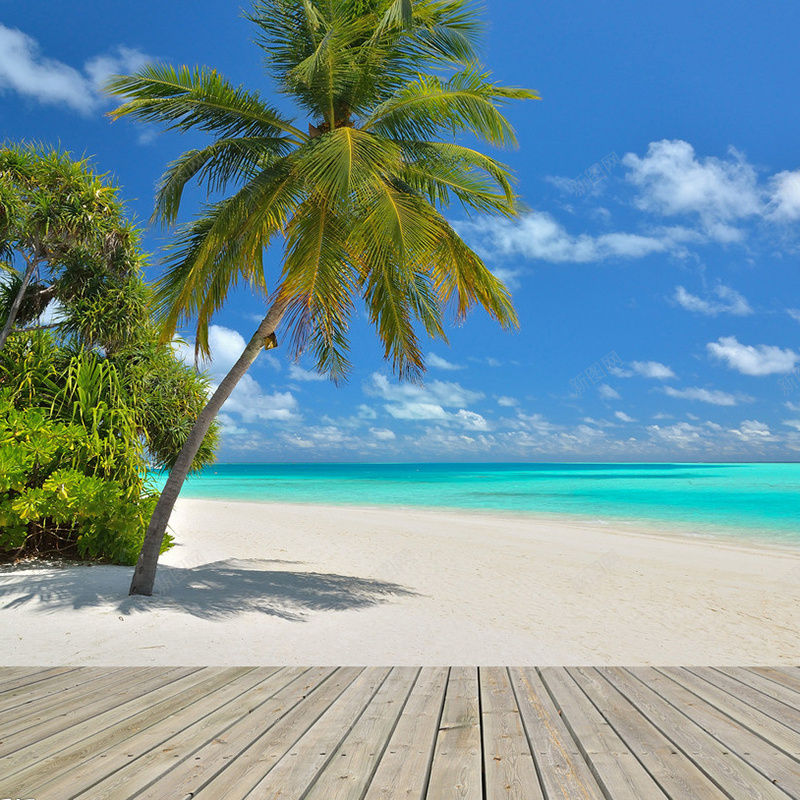 夏日海滩椰子树背景jpg_新图网 https://ixintu.com 主图 夏日 摄影 椰子树 海滩 风景