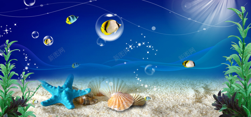 海洋生物psd设计背景_新图网 https://ixintu.com 气泡 海报banner 海星 海洋生物 海藻 金鱼