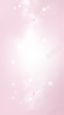 粉色花瓣H5背景背景