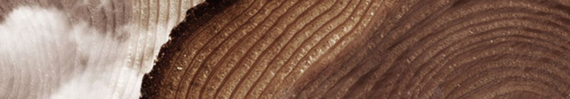 木头创意地产广告背景jpg设计背景_新图网 https://ixintu.com 创意 地产 展板 山水 广告 开心 木头 海报 素材 背景