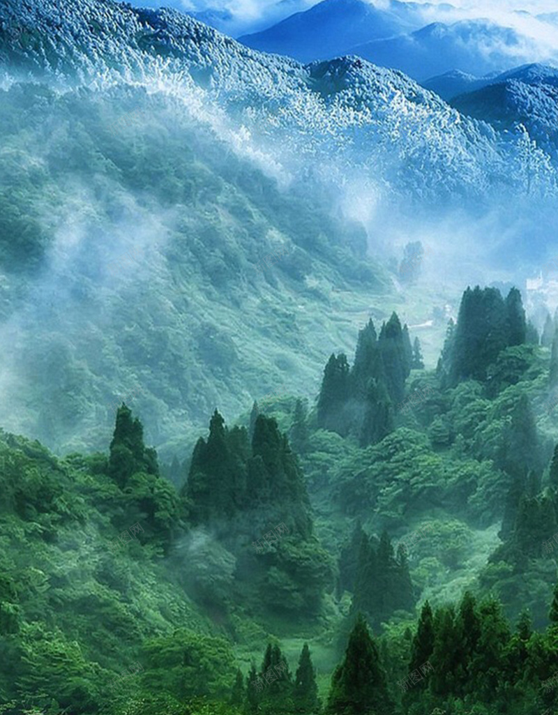 山林里的河流H5背景jpg设计背景_新图网 https://ixintu.com H5素材 山林 树林 森林 河流 绿色