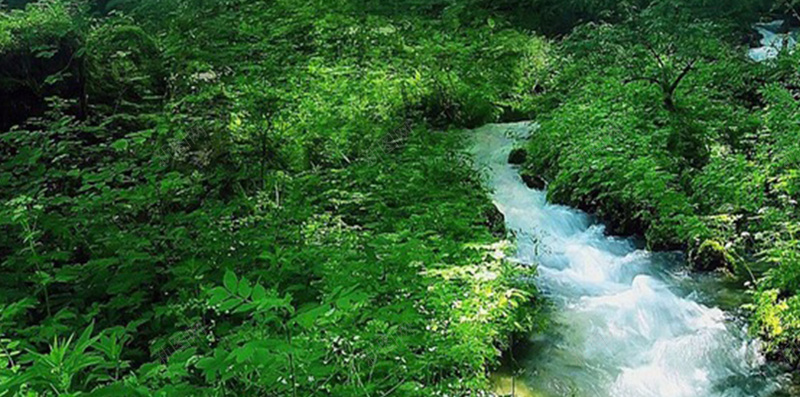 山林里的河流H5背景jpg设计背景_新图网 https://ixintu.com H5素材 山林 树林 森林 河流 绿色