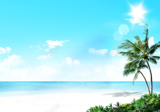 夏日阳光海滩椰树风景背景摄影图片