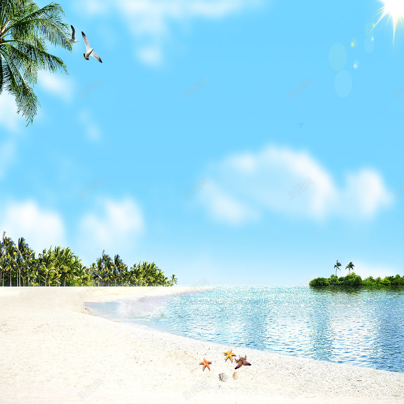 沙滩椰子树背景psd_新图网 https://ixintu.com 主图 摄影 椰子树 沙滩 海星 海滩 海鸟 风景