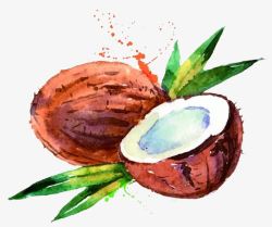手绘水彩绘画水果椰子素材