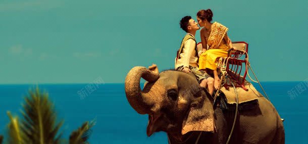大象背上的幸福海报背景背景
