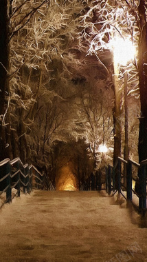 大雪覆盖的树林H5背景摄影图片