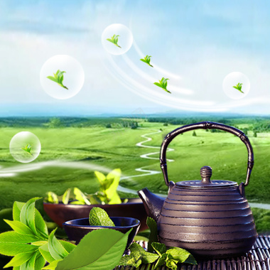 清新自然茶园茶具PSD分层主图背景背景