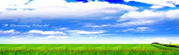 绿色产品养生产品天然背景美漫天空背景背景