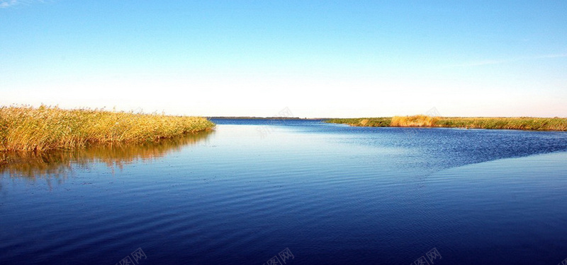 湖水芦苇背景摄影图片