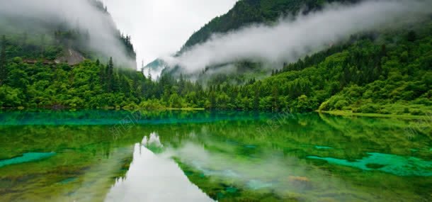 绿色自然风光背景jpg设计背景_新图网 https://ixintu.com 树林 湖水 绿色背景 自然风光