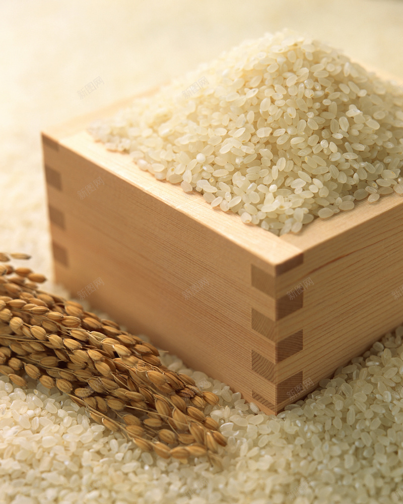 大米粮食摄影jpg_新图网 https://ixintu.com 大米 拍摄喜欢 摄影 棕色 稻谷 粮食 风景 高清