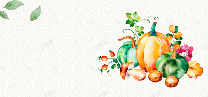 517水果果蔬绿叶手绘白色背景背景