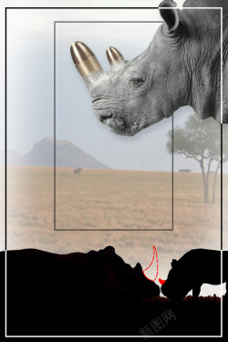 牛角号角犀牛角保护野生动物公益海报背景高清图片
