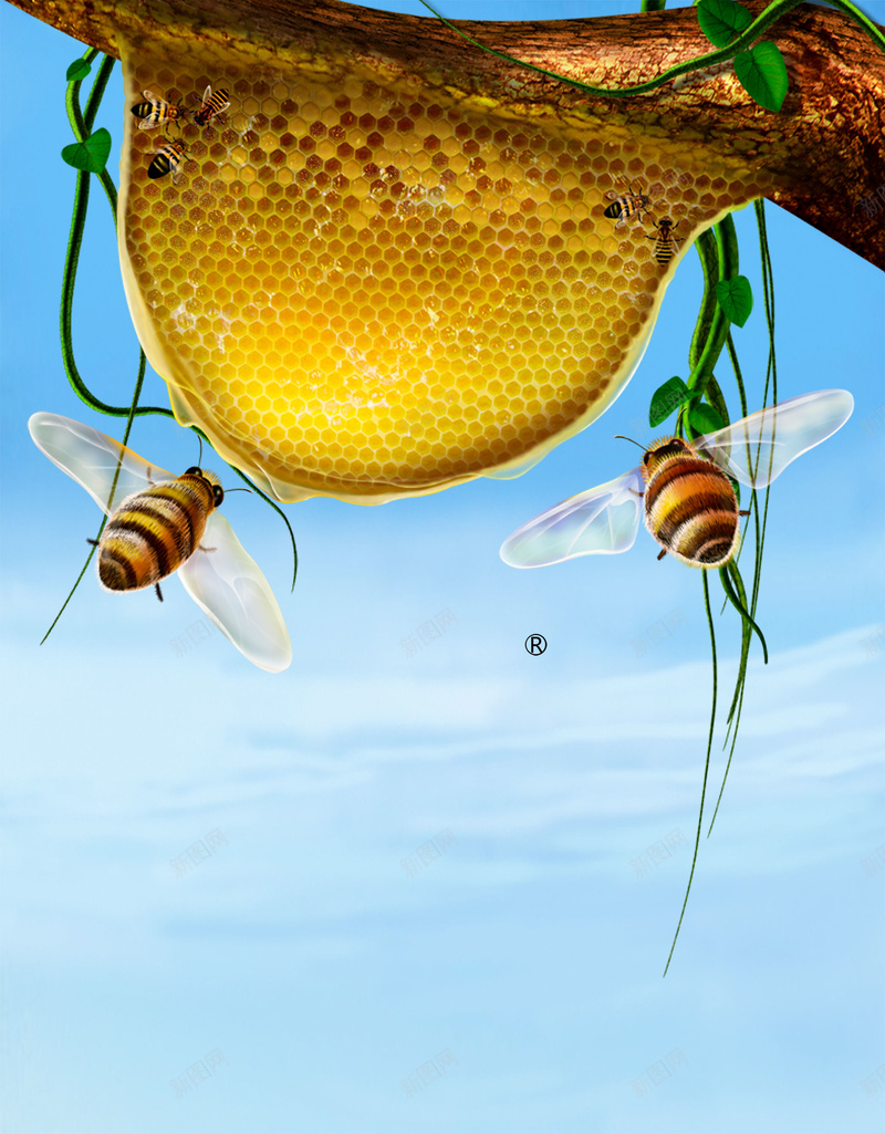 蜂蜜蜜蜂背景psd设计背景_新图网 https://ixintu.com PSD 山水 平面 广告 春天 春季 植物 模板 海报 素材 背景 花朵 蜂蜜 蜜糖 蜜蜂 风景 食物