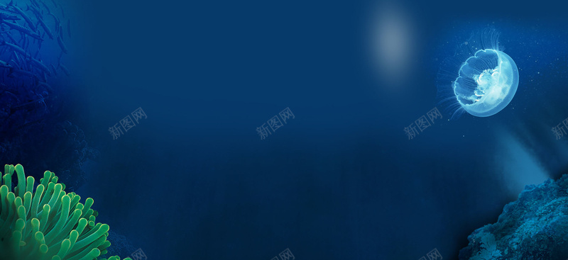 深蓝色海洋背景jpg设计背景_新图网 https://ixintu.com 水母 海底生物 海报banner 海洋 海藻 深蓝色 清爽 背景 鱼