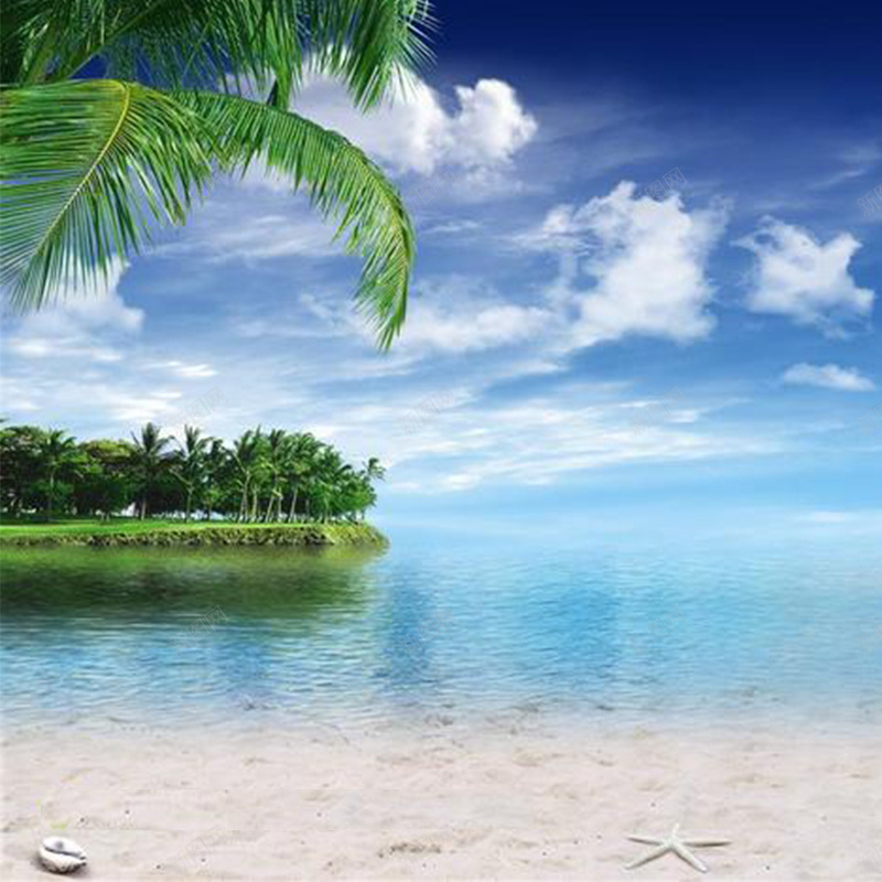 海边唯美风景摄影背景jpg_新图网 https://ixintu.com 主图 摄影 海边风景摄影沙滩椰子树植物 风景